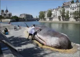  ??  ?? Tim Van Noten a member of a Belgian artists’ collective, pours water on a real-looking, life-size whale sculpture displayed along the Seine River in Paris, France, Friday.