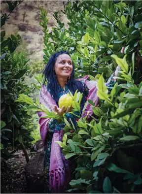  ??  ?? Arriba, a la izq., guiso de cardos. A la dcha., Najat, en una plantación de
etrogs, una rara variedad de limón. A la izq., aldaba de Nur. Abajo a la izq., cajas de pescado en la lonja de Agadir. A la dcha., bandeja de limones en salmuera.