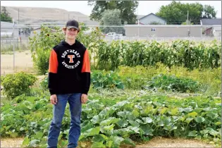  ?? NEWS PHOTO SAMANTHA JOHNSON ?? Ryder Stimson stands in front of the garden at the Irvine Agricultur­al Discovery Centre on Saturday, his last day of work for the summer.