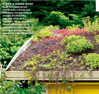  ??  ?? PLANT A GREEN ROOF
BUILT ON A WATERPROOF MEMBRANE, A LIVING ROOF HAS MANY ECO BENEFITS: IT CREATES BIODIVERSI­TY, REDUCES NOISE AND INSULATES. IT HAS ALSO BEEN FOUND THAT IT CAN CUT AIR POLLUTION. INSTALL ONE ON A SHED OR GARAGE STURDY ENOUGH TO TAKE THE WEIGHT