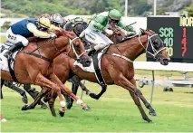  ??  ?? Stephensti­hls is better than a $60 shot in the NZ Derby, trainer Mike Breslin says.