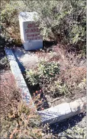  ?? PHOTO BY JOE BLACKSTOCK ?? In this grave, just below Mt. Baldy Village north of Upland, lies the body of a miner Jacob Shinner, who reportedly died about 1877, though details of his name and life are still mostly uncertain.