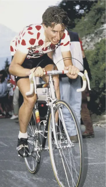  ??  ?? Millar won the King of the Mountains title and was fourth overall in the 1984 Tour de France