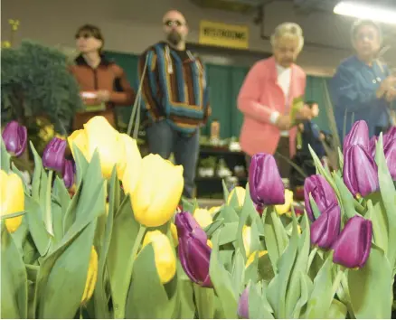  ?? HARRY FISHER/MORNING CALL FILE PHOTO ?? Think spring: The Lehigh Valley Flower Show will be held March 10-12 at the Agri-Plex at the Allentown Fairground­s.