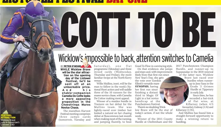  ??  ?? FESTIVAL ATTRACTION Wicklow Brave runs in tomorrow’s Listowel 2.40