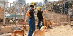  ?? Foto: Christian Wenzel/THW/dpa ?? Mit Hunden und technische­n Geräten sucht das THW nach Überlebend­en – gerade sind THW-Helfer auch in Beirut im Einsatz.