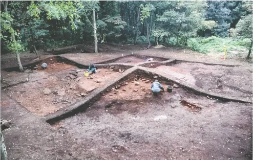  ?? JULIAN RICHARDS / UNIVERSITY OF YORK ?? Human and animal remains were discovered at a Viking cremation cemetery at Heath Wood in Derbyshire, England.