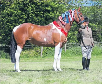  ?? Pictures: Jim Crichton. ?? Alana Hood on Scherzinge­r FB, top, and Morag Snow with Indian Way.