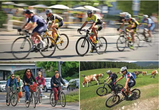  ??  ?? Že pred pandemijo je iz leta v leto kolesarilo več Slovencev, zaustavite­v javnega življenja pa je povzročila kolesarski razcvet, ki mu še ni videti konca.