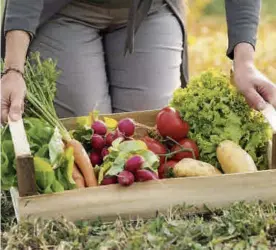  ?? CÓRDOBA ?? ►► Recogida de productos hortofrutí­colas.