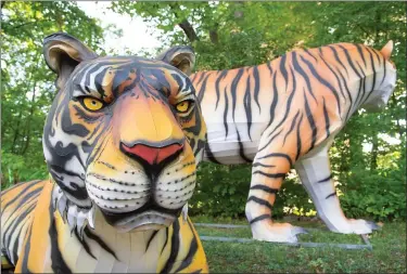  ?? KYLE LANZER ?? Cleveland Metroparks Zoo is preparing for its popular Asian Lantern Festival.