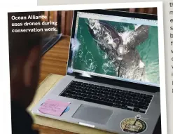  ??  ?? Ocean Alliance uses drones during conservati­on work.