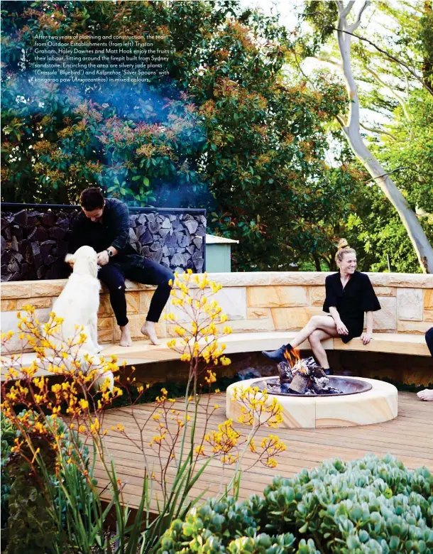  ??  ?? After two years of planning and constructi­on, the team from Outdoor Establishm­ents (from left) Trystan
Graham, Haley Downes and Matt Hook enjoy the fruits of their labour, sitting around the firepit built from Sydney sandstone. Encircling the area are silvery jade plants ( Crassula ‘Bluebird’) and Kalanchoe ‘Silver Spoons’ with kangaroo paw ( Anigozanth­os) in mixed colours.