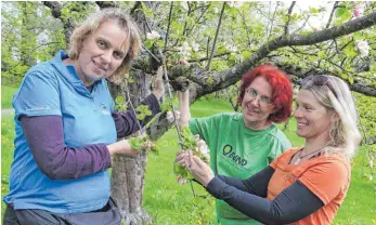  ?? FOTO: TOBIAS REHM ?? Sie hoffen auf zahlreiche Besucher beim Streuobstw­iesenfest am Sonntag (von links): Sabine Brandt, Esther Franzen und Claudia Klausner.