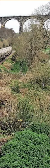  ??  ?? MAIN PICTURE: Colas Class 70 70802 on the single-track siding from Coombe Jn on the Looe branch to the Moorswater depot. The train is the 1300 Moorswater to Aberthaw empty PCA tank wagons on April 6, 2017. Over the years the timings of the weekly working have changed on several occasions. In the background is the 151ft high Moorswater
Viaduct that carries the Plymouth to Penzance main line over the valley.
(All photos author unless stated)