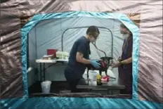  ?? Ruth Fremson/The New York Times ?? A dog is examined at a free pet-care clinic in Seattle. Although dogs and cats can catch the coronaviru­s, a growing body of evidence suggests they play little to no role in its spread and rarely fall ill themselves.