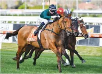  ?? ?? The WIll Clarken-trained Second Slip scored an upset G1 victory in the Autumn and is hoping to repeat the dose.