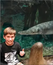  ?? Special to the Arkansas Democrat-Gazette ?? At an aquarium in Springfiel­d, Mo., Henry Foster of Fayettevil­le points to an alligator gar, a species he’d like to see exalted in Arkansas.