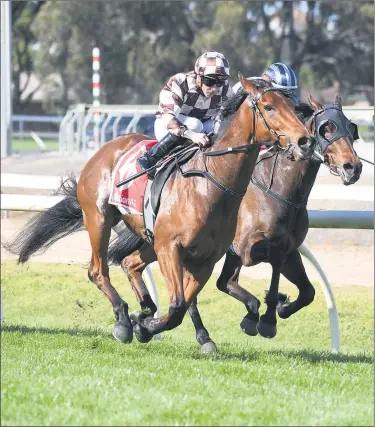  ?? Picture: PAUL CARRACHER ?? RACING HOME: Dean Holland on Orleans Rock, left, races past Linda Meech and Think We’re Due to win the 2021 Horsham Cup for trainer Paul Preusker.