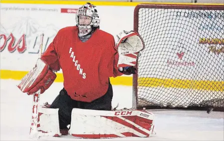  ?? BOB TYMCZYSZYN
THE ST. CATHARINES STANDARD ?? St. Catharines Falcons goalie Owen Savory during practice in advance of their second-round playoff series against Ancaster Avalanche Tuesday.