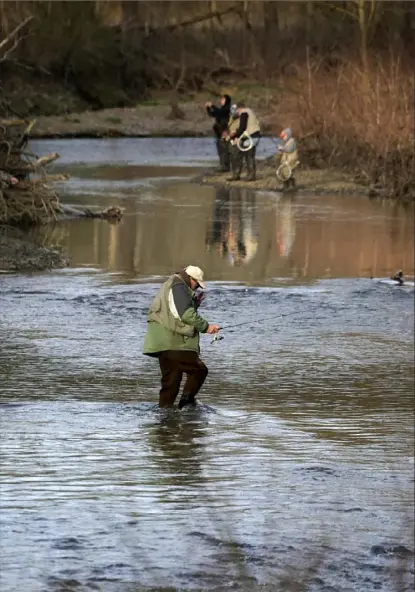  ?? Peter Diana/Post-Gazette ?? Word had clearly gotten around about the restoratio­n of Peters Creek near Jefferson Hills, where anglers lined the banks of the stream Saturday for the opening day of trout season.