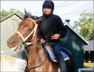  ?? ERICA MILLER/emiller@saratogian.com ?? Carnival Court, trained by Kiaran McLaughlin, is set to run in Saturday’s Grade 1 Alabama Stakes at Saratoga Race Course.