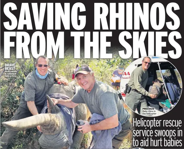  ??  ?? BRAVE BEAST Nico Jacobs & colleague help a rhino
PRECIOUS Baby rhino in the helicopter