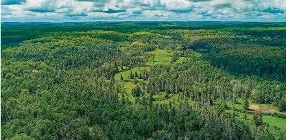Michigan DNR acquires former Black River Ranch | Detroit Free Press ...