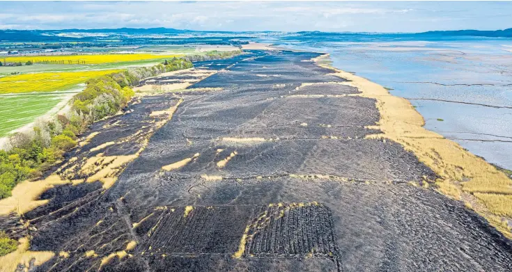  ?? Picture: Steve Brown. ?? The full extent of the fire damage can be seen in this shot from above the reed beds at Errol taken yesterday.