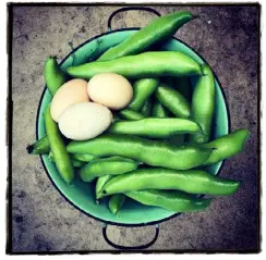  ??  ?? Homegrown eggs and broad beans.