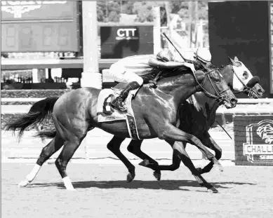  ?? BENOIT & ASSOCIATES ?? Pubilius Syrus edges Inscom in a maiden race Sept. 30. They meet again in the Eddie Logan.