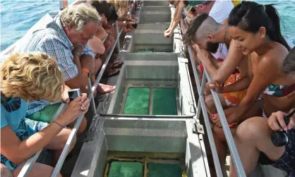  ?? Getty Images ?? Tourists view coral from a glass-bottomed boat. The Greens have labelled a reef grant a ‘massive scandal’. Photograph: William West/AFP/
