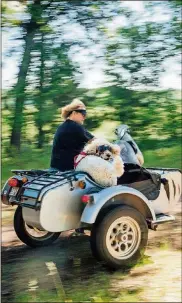  ?? MARY MATHIS/WASHINGTON POST ?? Rhonda Reynolds rides with poodle Mooloo near Spooner, Wisconsin.