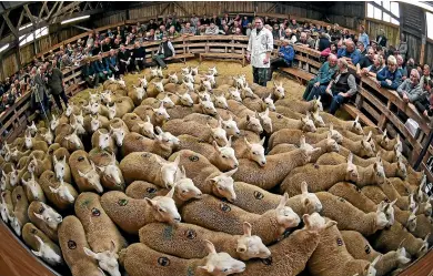  ?? GETTY IMAGES ?? A large proportion of British sheepmeat is exported to Europe but once expected high tariffs are slapped on the products, the trade is likely to tail off.
