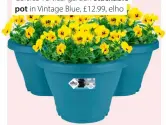  ?? ?? Corsica vertical garden stackable pot in Vintage Blue, £12.99, elho