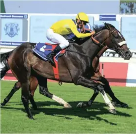  ?? / Wayne Marks. ?? Two-time Durban July winner Do It Again is back at his favourite track tomorrow.