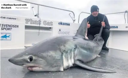 Angler hooks huge 324lb shark off the Welsh coast - PressReader