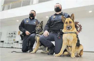  ??  ?? Equipo
GABRIEL UTIEL ‘Loba’ e ‘Iris’ forman tándem con el oficial Sánchez y el agente Monferrer en la Unidad Canina.