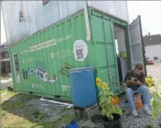  ?? Pam Panchak/Post-Gazette ?? Nate McDowell from Squirrel Hill, an intern with Ecotone Renewables, replants tomatoes grown at the Seahorse, a prototype system that turns food waste into fertilizer.