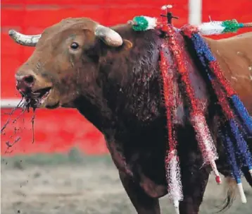  ??  ?? Las corridas de toro son considerad­as también como maltrato animal