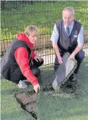  ??  ?? Ripped up Janitor Graham McAra shows Mrs McNeil some of the serious damage to the pitch