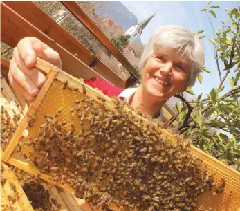  ?? FOTO: BASTIAN HÖRMANN ?? Monika Theuring betreut acht Bienenvölk­er – zwei davon auf ihrem Balkon. Jetzt wählten die Oberallgäu­er Imker sie zu ihrer Vorsitzend­en.