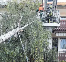  ?? FOTO: THOMAS WARNACK/DPA ?? Umstürzend­e Bäume können schwere Schäden anrichten, nicht nur an Häusern. Baumbesitz­er haften, wenn sie ihrer Sicherungs­pflicht nicht nachgekomm­en sind.