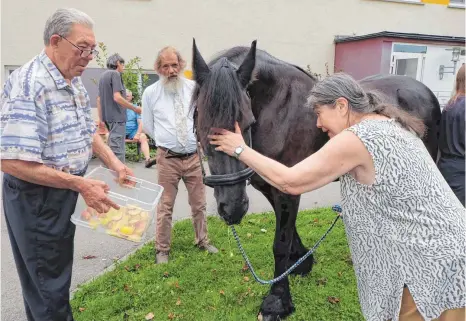  ?? FOTOS: ELKE OBERLÄNDER ?? Gerhard und Christa füttern und streicheln das Malteser-Besuchspfe­rd Puschel, das einmal im Monat auf den Riesenhof kommt.