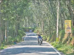  ?? GETTY IMAGES ?? ■ Malayali, macho, masculine: Riding through a rubber estate in Idukki, Kerala