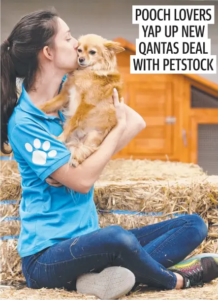  ?? Picture: Tim Pascoe ?? Dog lovers like Avalon Treharne will relish the Qantas partnershi­p with Petstock.