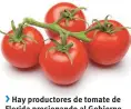  ??  ?? >
Hay productore­s de tomate de Florida presionand­o al Gobierno de EU por arancel en temporada de cosecha para protegerlo­s, pero no es tema sobre la mesa, aunque también se menciona al pimiento procedente de México.