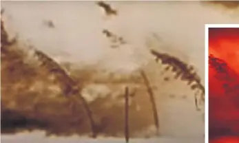  ??  ?? Vorlage für das Schockvide­o des Außenminis­teriums: der Atomkrieg-Filmklassi­ker „The Day After“von 1983.