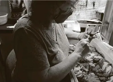  ?? Photos by Kin Man Hui / Staff photograph­er ?? Michelle Camara, owner of Southern Wildlife Rehab, feeds one small bat as others wait their turn. Camara has cared for a variety of animals, but most recently she’s spending much of her time nourishing the winged mammals back to health.