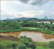  ?? YANG FEIYUE / CHINA DAILY ?? After the clearing and building of a 74-km sightseein­g belt, the riverbanks of Yongjiang in Nanning offer the public a place for leisure and relaxation.